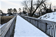 Winter Walkway by Shirley Whitenack