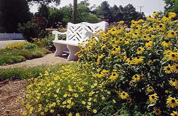 downtown walking tour