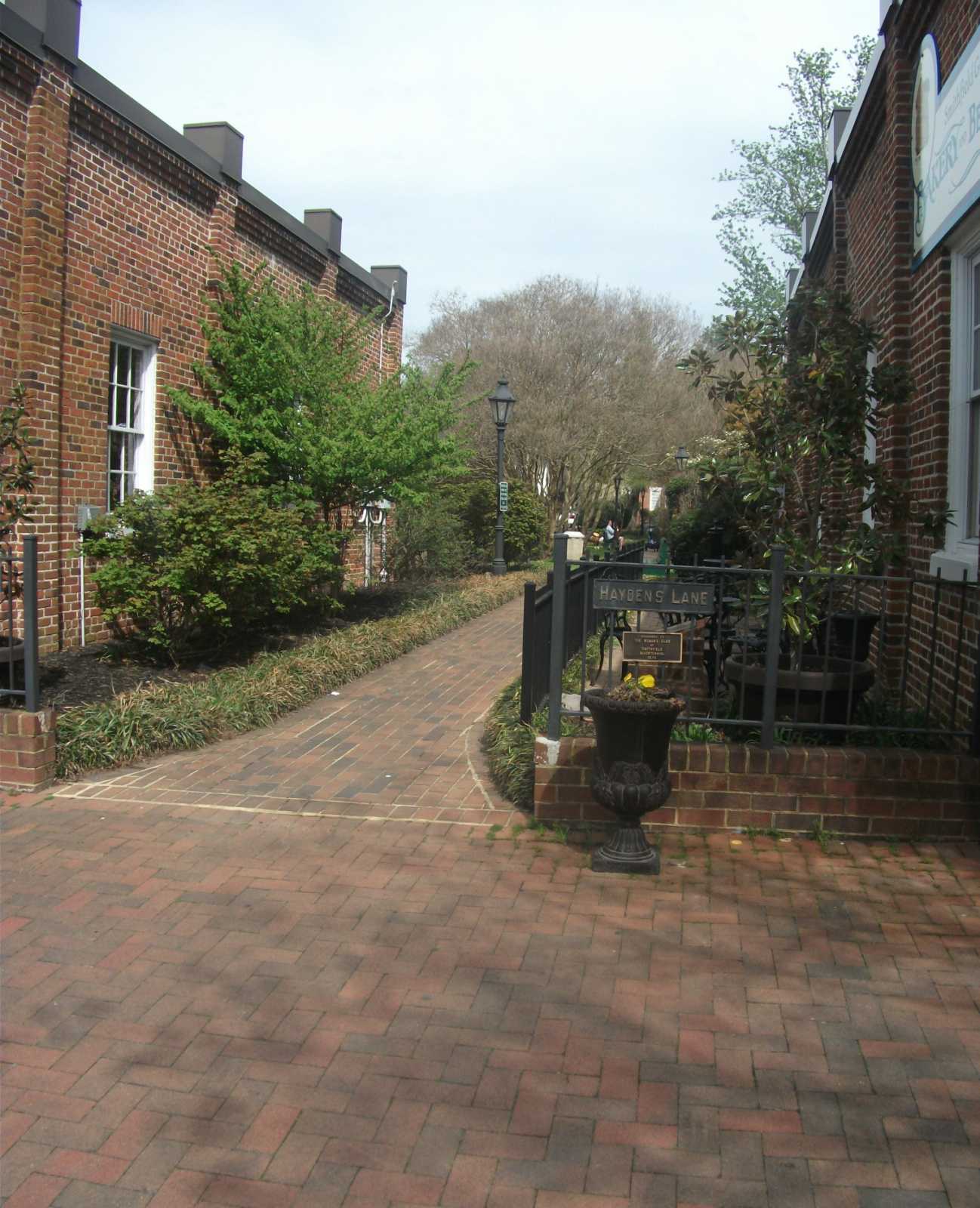 HAYDENS LANE HOPE OF SPRING by Dawn Riddle