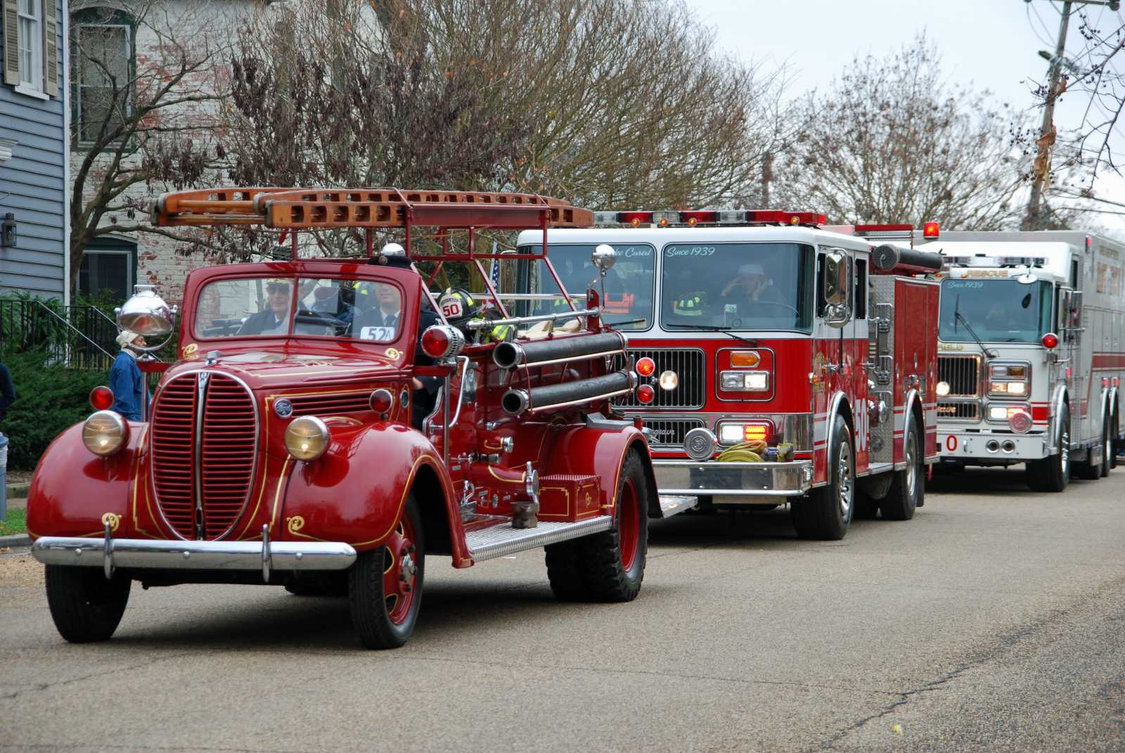 Parade Favorites by Tina L Hill