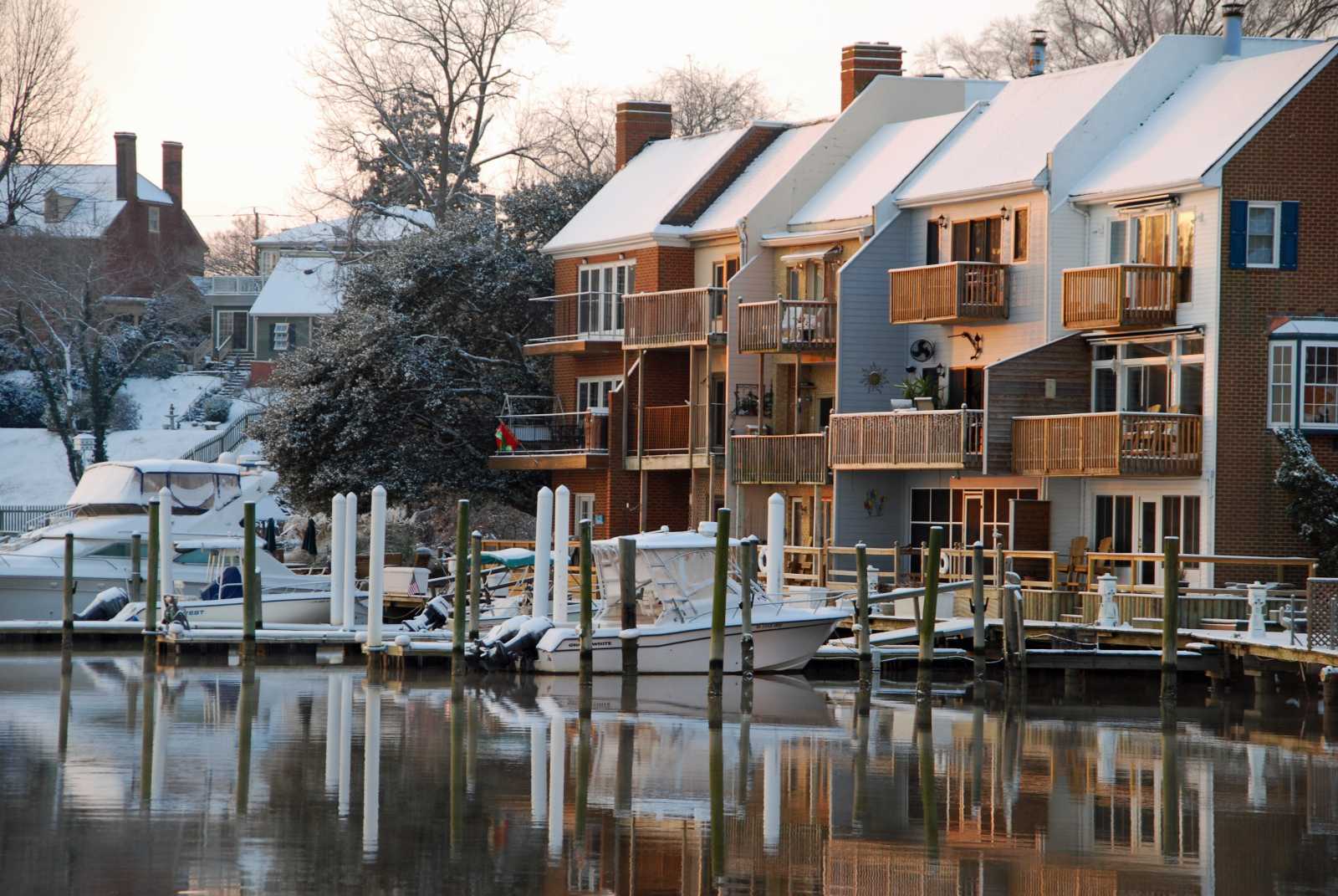 Still by Tina L Hill 