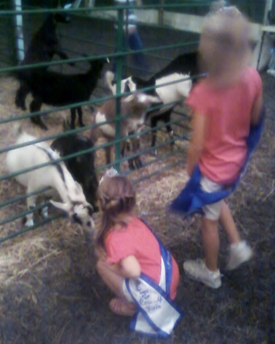 Sweet Little Fair Queens 2012 by Dawn Riddle