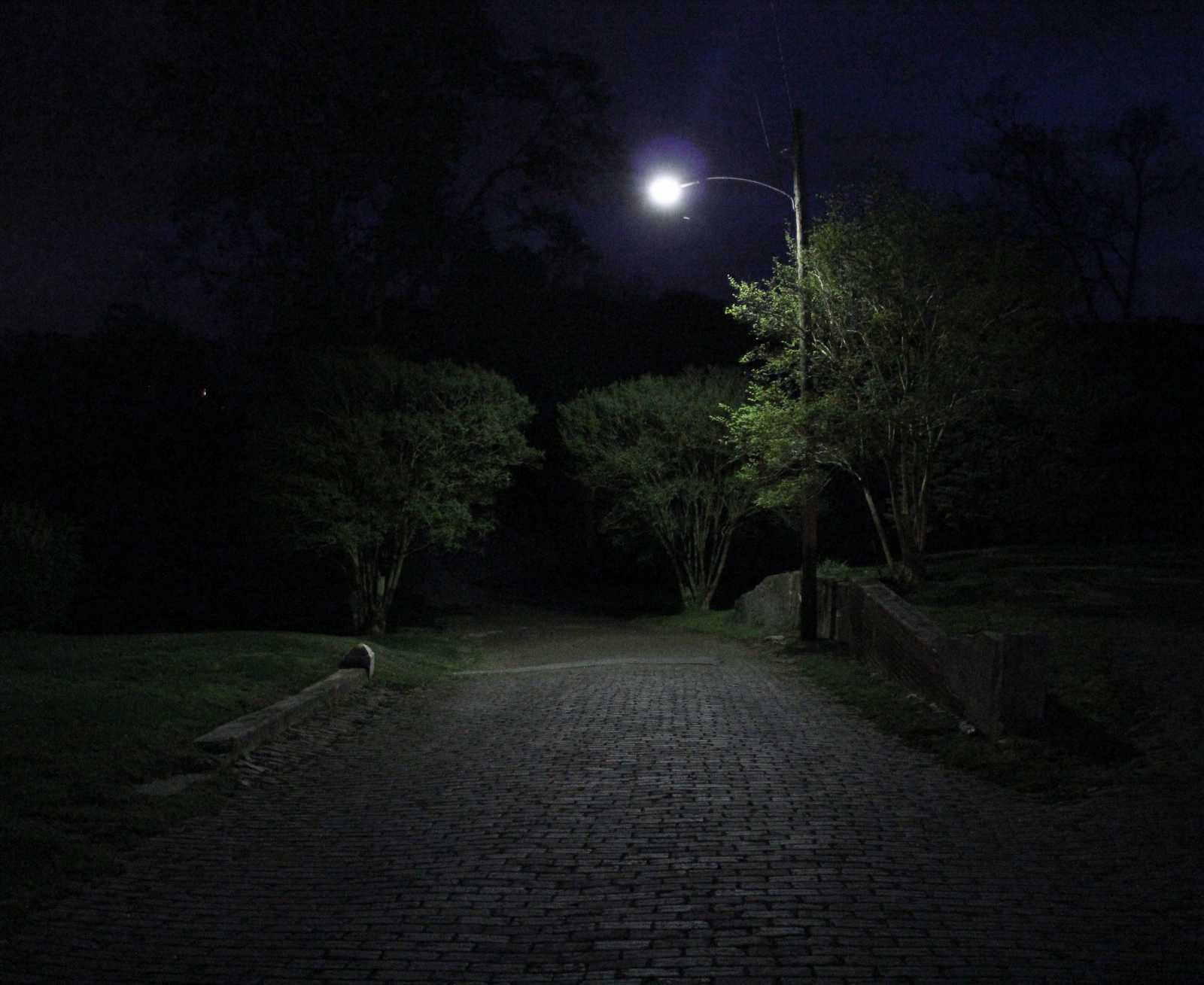 The Narrow Road by Tyler Johnson