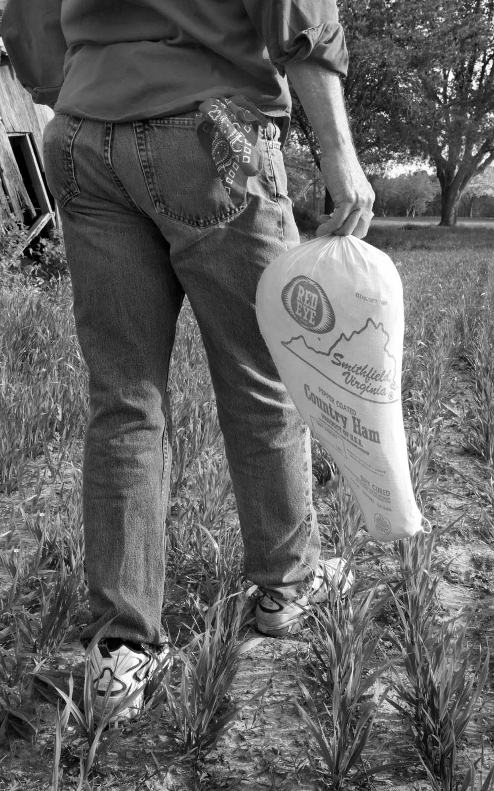 Ham Culture By Jessica Casper