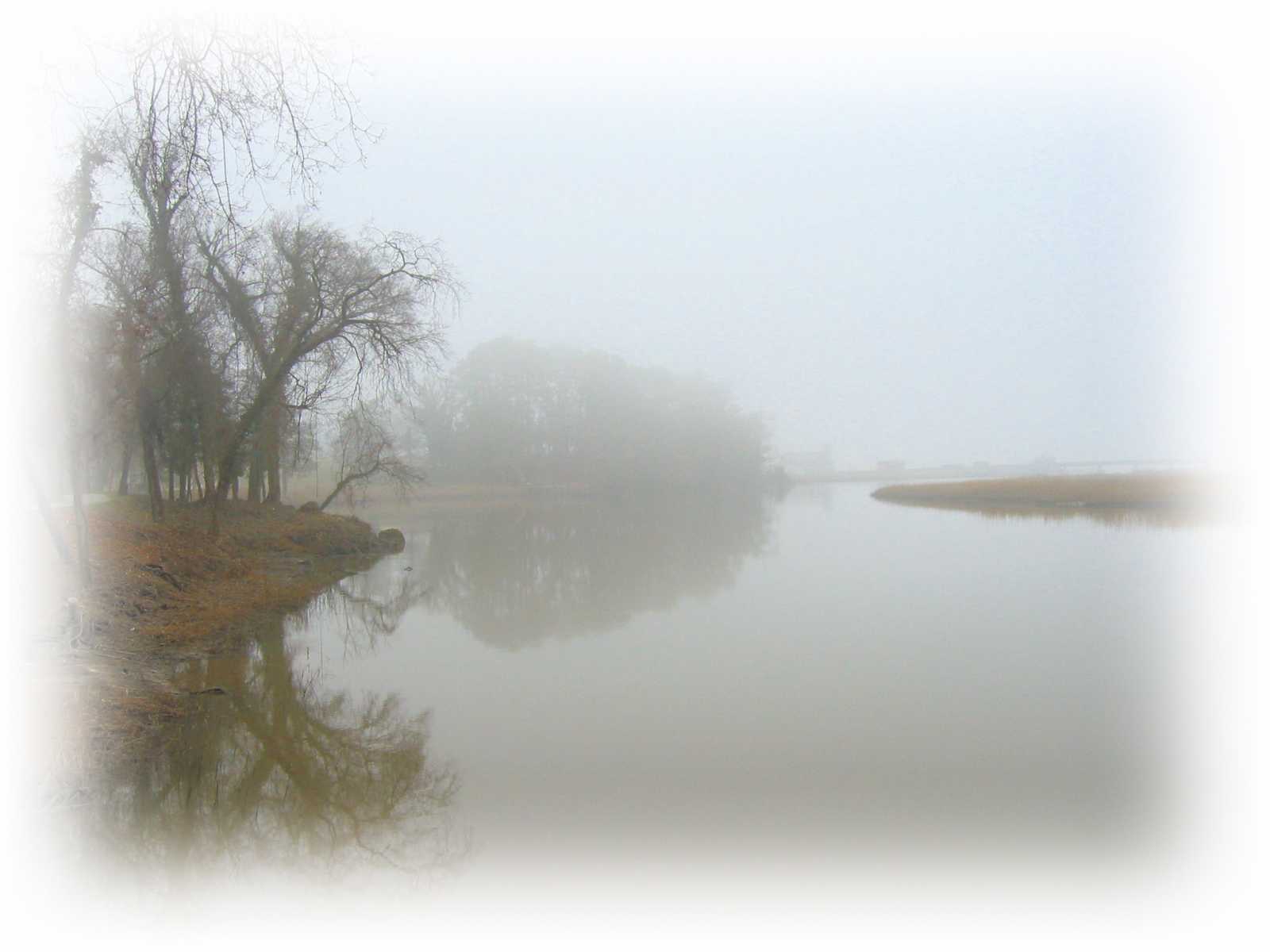 Mist Over Cypress Creek by Dave Goodridge