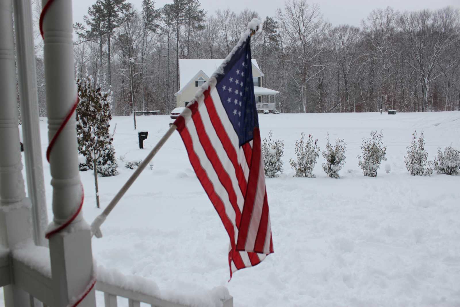 Red, Snow and Blue by Seffron Boyle