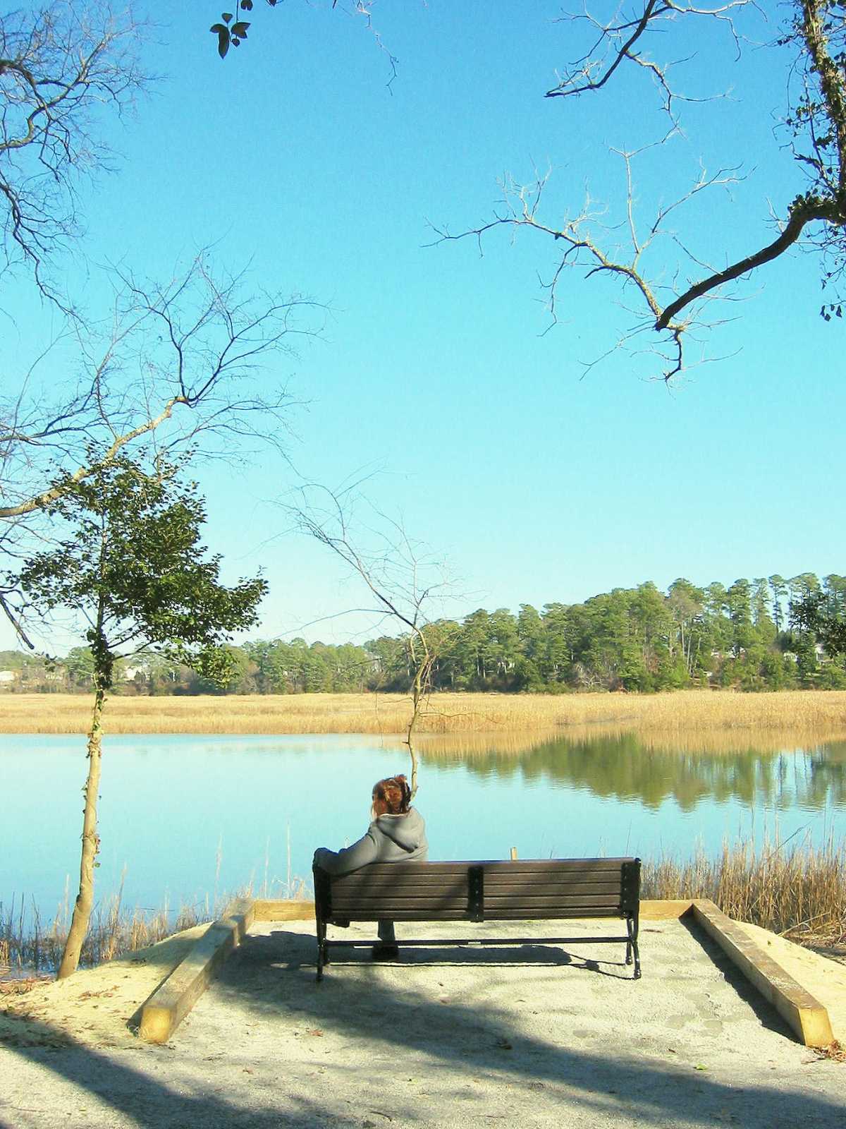 Reflection by Dave Goodridge