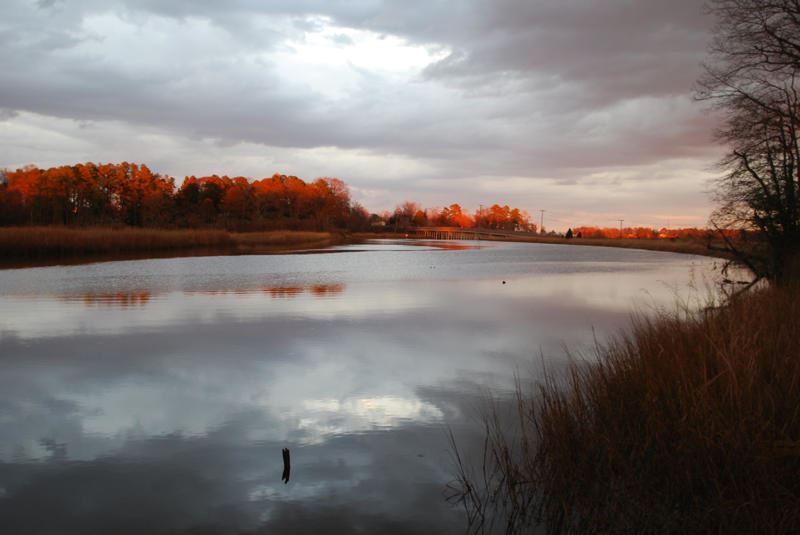 A Water Color Sunset by Tina L Hill