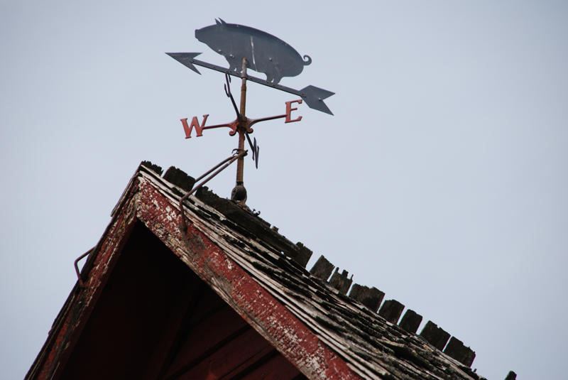 All Pigs Point cut out